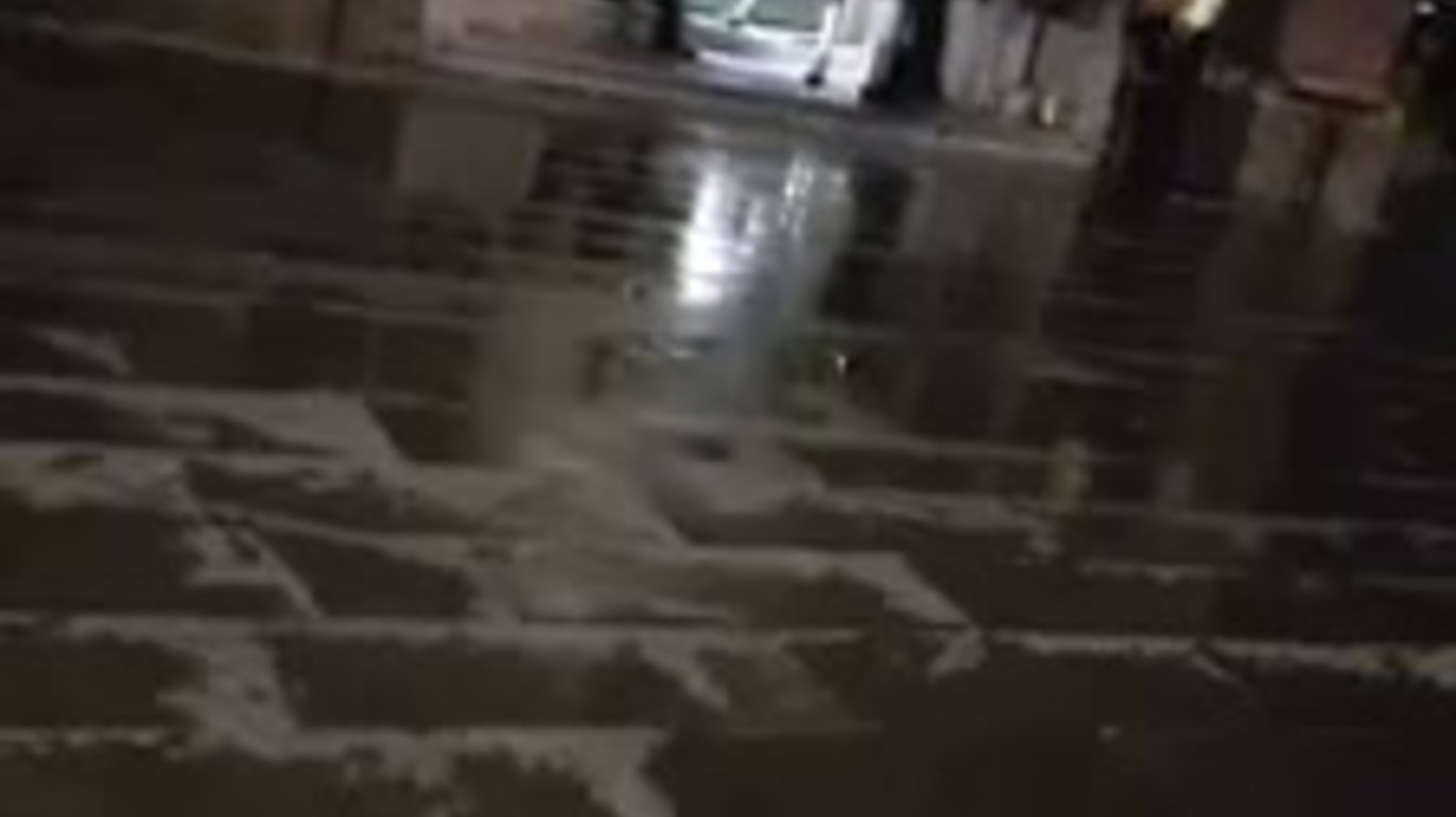 dumpert.nl Agent is er klaar mee dumpert.nl Agent is er klaar mee