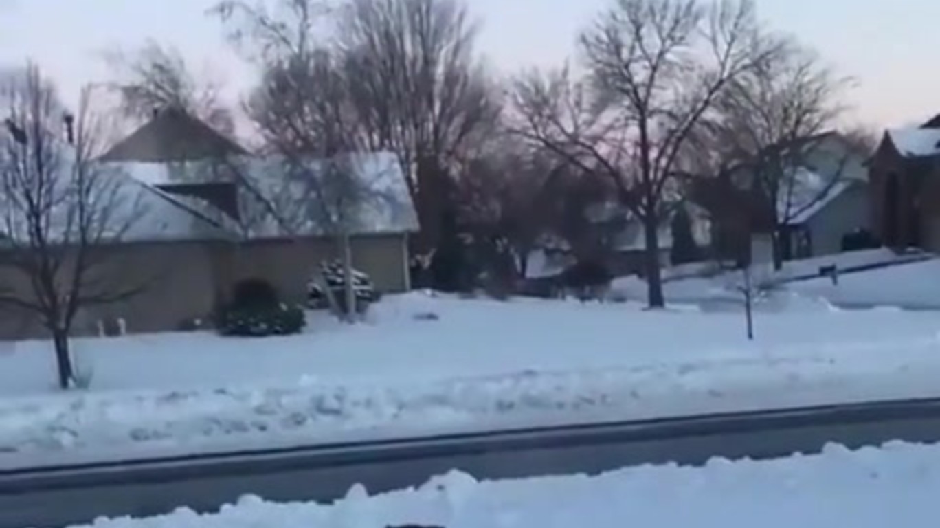 DUMPERT - Het is koud in Amerika