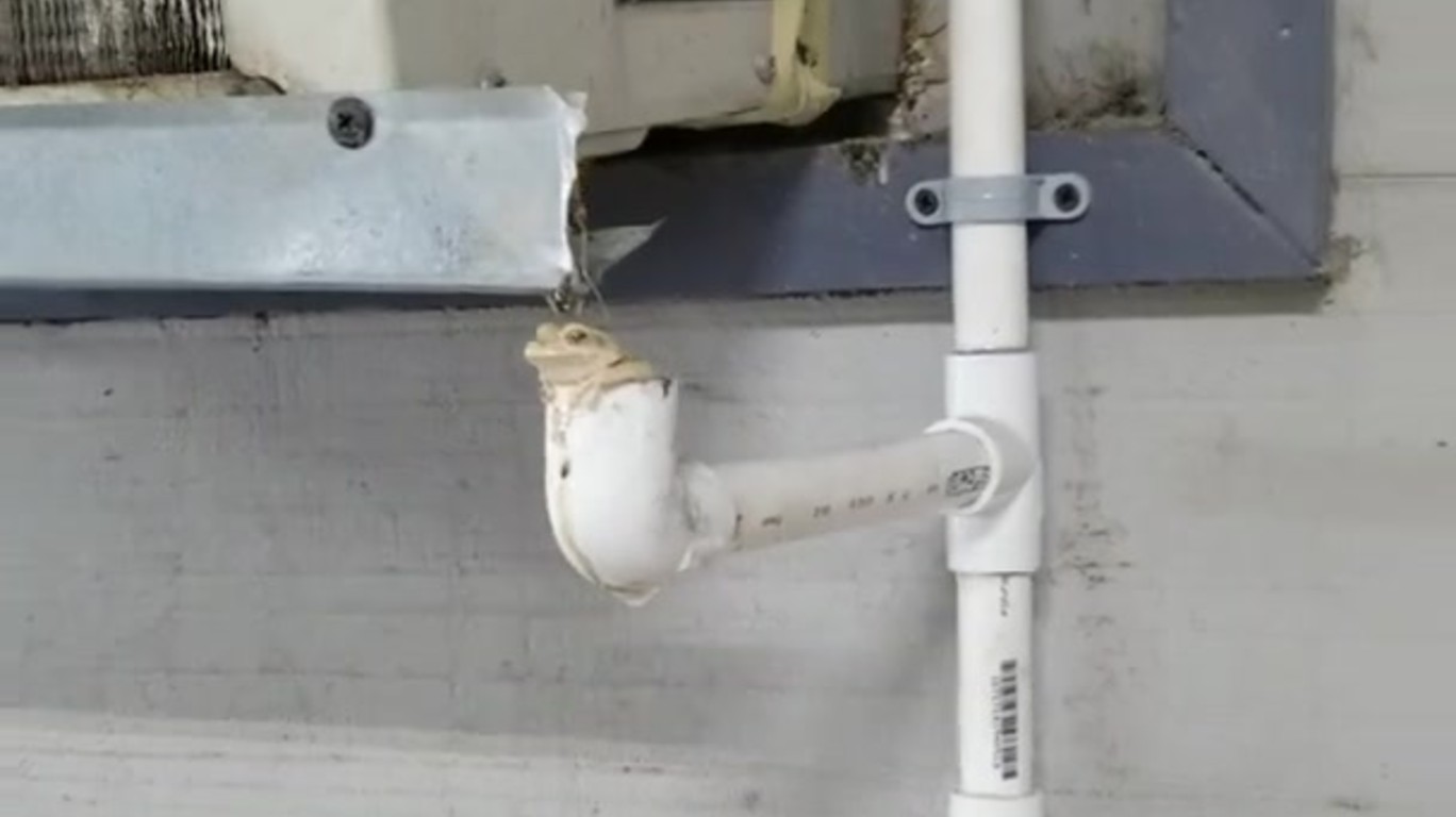 Dumpert nl Tijd Voor Een Opkikkertje